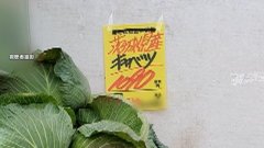 圆白菜价钱暴涨惊呼“比肉贵”
