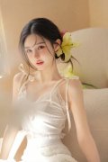 热心的向阳吃瓜群众