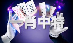 <b>澳门彩旗袍003期</b>