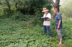 <b>陕西洛南县保安镇开展财产核实工做 保障惠农补</b>